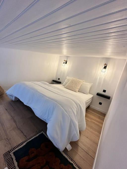 Duplex Lumineux Apartman Nantes Kültér fotó